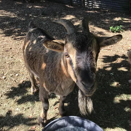 Tatil Evi De La Coussotterie Sud Vendee 4 **** 8 Pers *