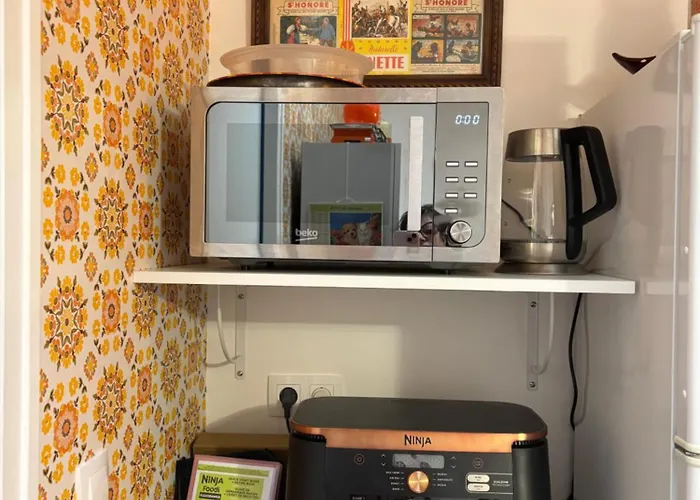 בית נופש De La Coussotterie Sud Vendee 4 **** 8 Pers Sainte-Gemme-la-Plaine